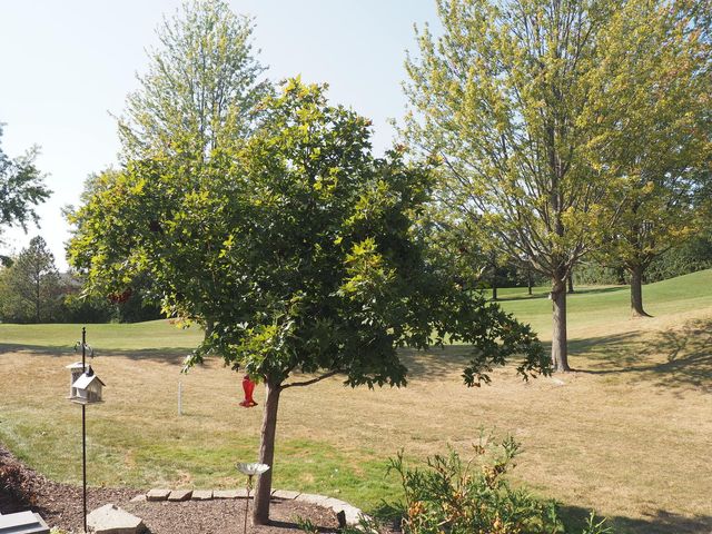 10666 Golf Road, Orland Park, IL 60462