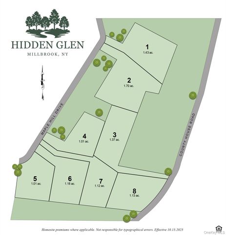 45 Maple Hill Drive, Millbrook, NY 12545