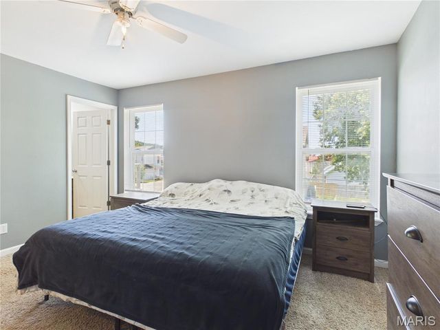 121 Penny Lane, Farmington, MO 63640