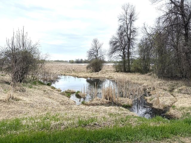 11365 Platt Avenue SW, Cokato, MN 55321