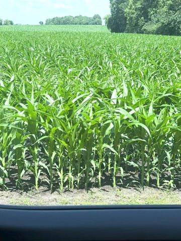 11365 Platt Avenue SW, Cokato, MN 55321