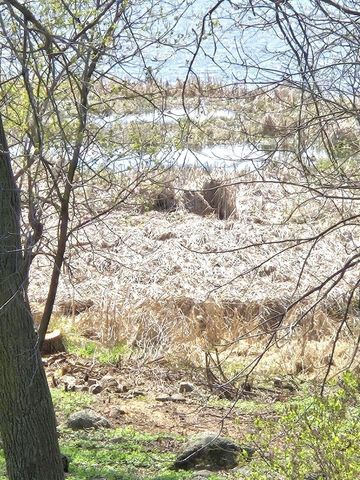 11365 Platt Avenue SW, Cokato, MN 55321