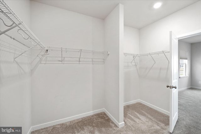 2093 WHITHORN HILL, Jeffersonton, VA 22724