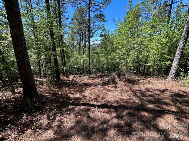 1175 HIDDEN COVE Lane, Connelly Springs, NC 28612