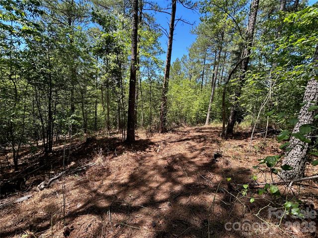 1175 HIDDEN COVE Lane, Connelly Springs, NC 28612