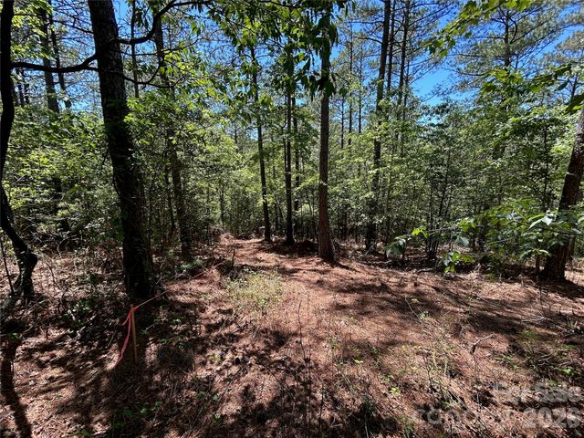 1175 HIDDEN COVE Lane, Connelly Springs, NC 28612
