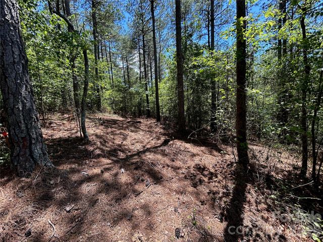 1175 HIDDEN COVE Lane, Connelly Springs, NC 28612