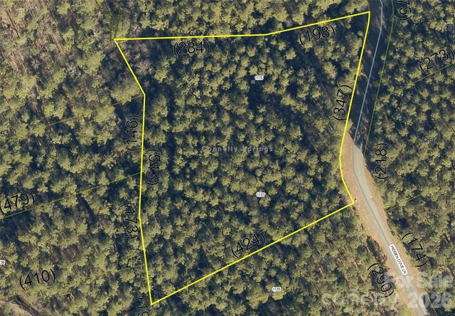 1175 HIDDEN COVE Lane, Connelly Springs, NC 28612