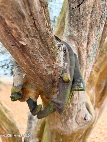 3298 Yankee Hall Road, Greenville, NC 27834