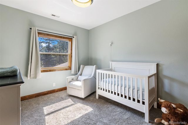 1195 Karen Lane, Woodland Park, CO 80863