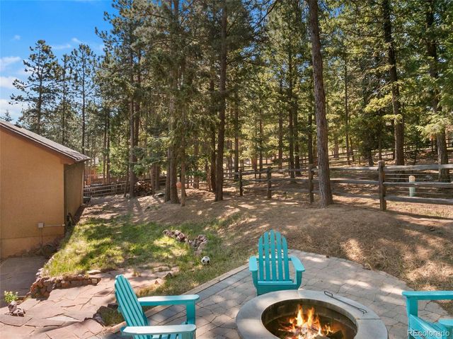 1195 Karen Lane, Woodland Park, CO 80863