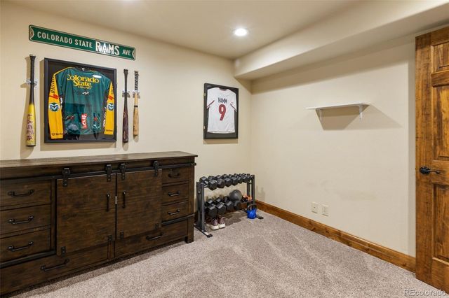 1195 Karen Lane, Woodland Park, CO 80863