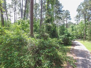 TBD Grand Pine Rd, Livingston, TX 77351