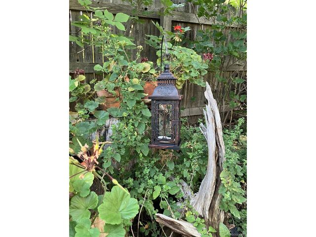 165 Yellowfield Way, Erie, CO 80516