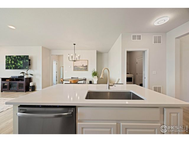 244 Veronica Dr, Windsor, CO 80550