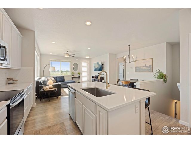 244 Veronica Dr, Windsor, CO 80550