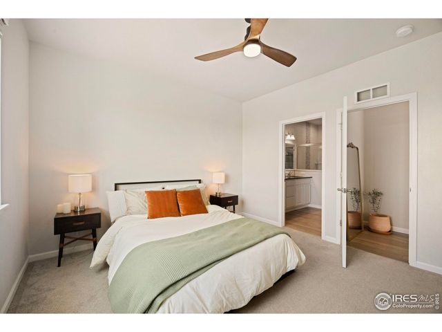 244 Veronica Dr, Windsor, CO 80550