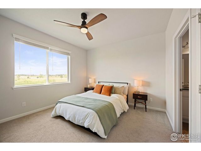 244 Veronica Dr, Windsor, CO 80550