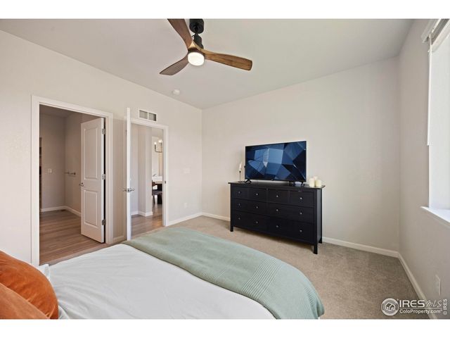 244 Veronica Dr, Windsor, CO 80550