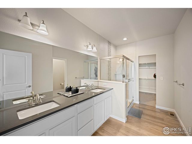 244 Veronica Dr, Windsor, CO 80550