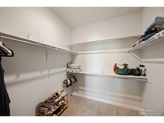 244 Veronica Dr, Windsor, CO 80550