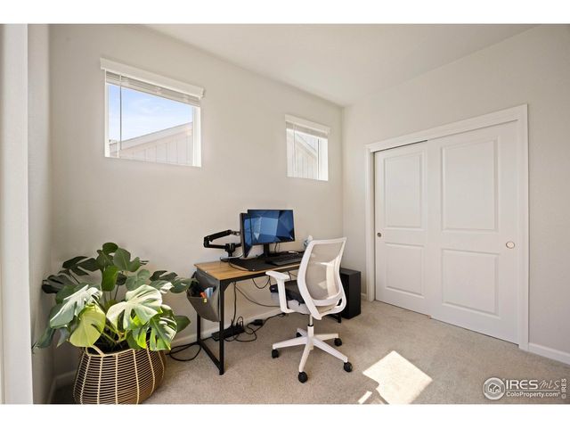 244 Veronica Dr, Windsor, CO 80550