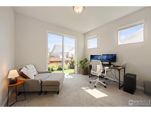 244 Veronica Dr, Windsor, CO 80550