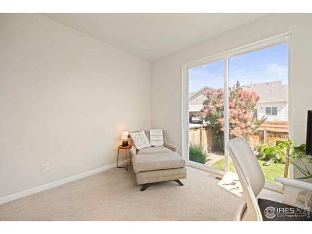 244 Veronica Dr, Windsor, CO 80550