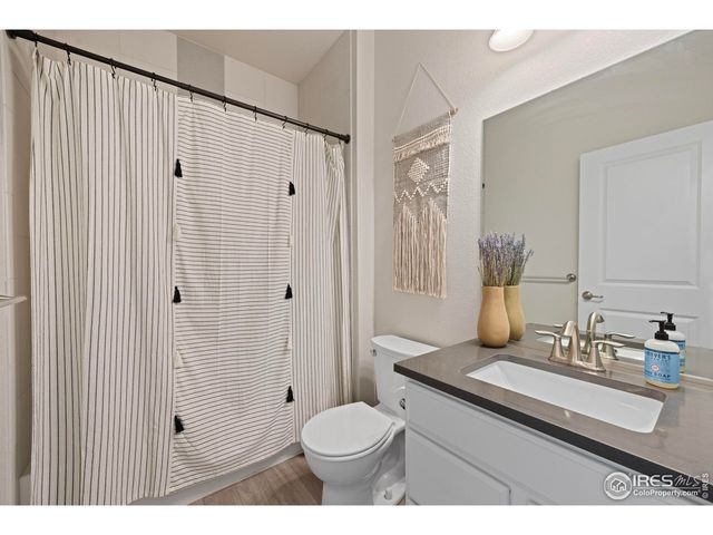 244 Veronica Dr, Windsor, CO 80550