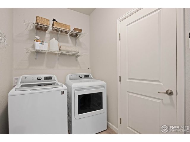 244 Veronica Dr, Windsor, CO 80550