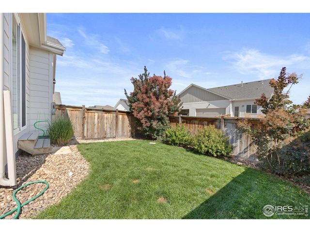 244 Veronica Dr, Windsor, CO 80550