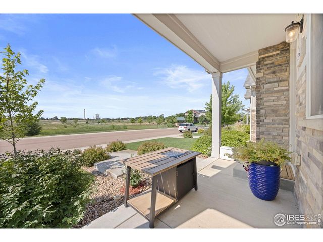 244 Veronica Dr, Windsor, CO 80550