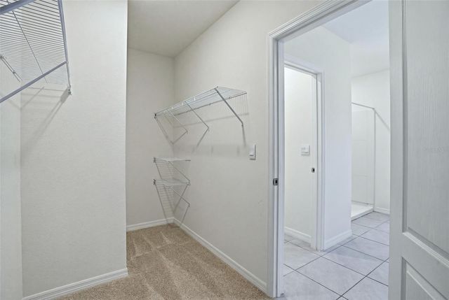 11338 AMBER RIDGE DRIVE, Zellwood, FL 32798
