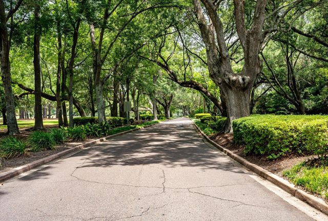 1080 Deleisseline Boulevard, Mount Pleasant, SC 29464