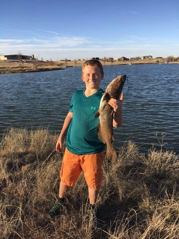 11880 Wild Horse Trail, Amarillo, TX 79118