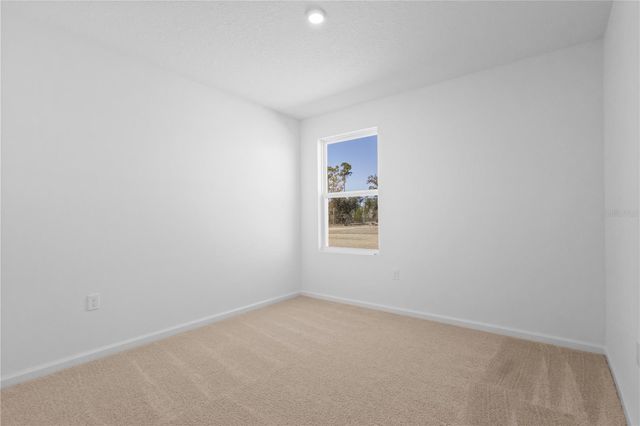 16294 NW 143RD WAY, Alachua, FL 32615