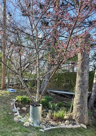 1110 Cambridge Drive, Cambridge Twp, MI 49265