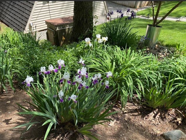 1110 Cambridge Drive, Cambridge Twp, MI 49265