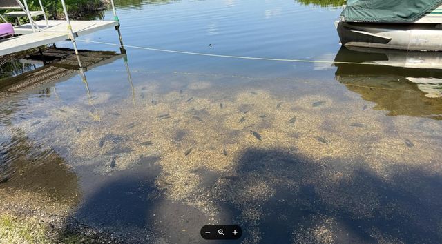 1110 Cambridge Drive, Cambridge Twp, MI 49265