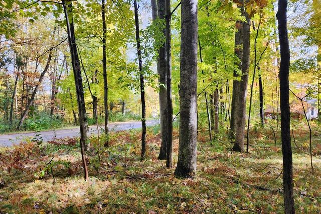 11875 Timberlane Drive 119, Stanwood, MI 49346