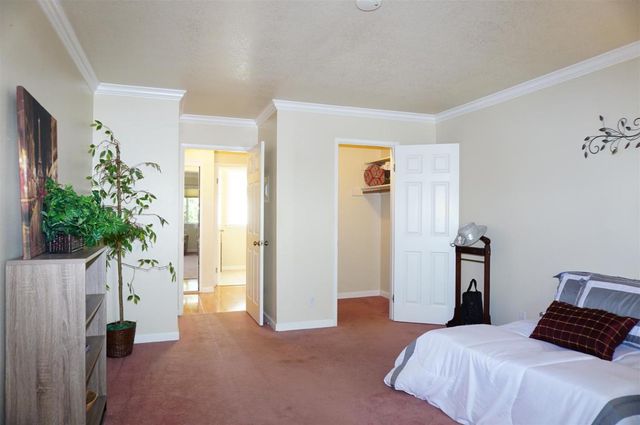 5518 Cribari Circle, San Jose, CA 95135