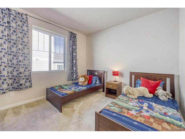 3303 Starry Night Loop, Castle Rock, CO 80109