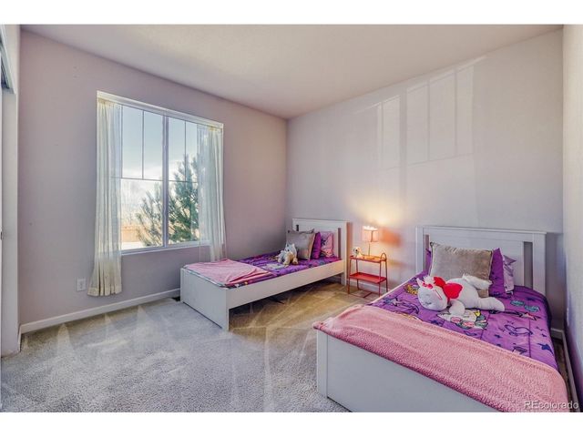 3303 Starry Night Loop, Castle Rock, CO 80109