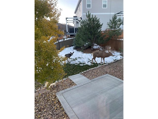 3303 Starry Night Loop, Castle Rock, CO 80109