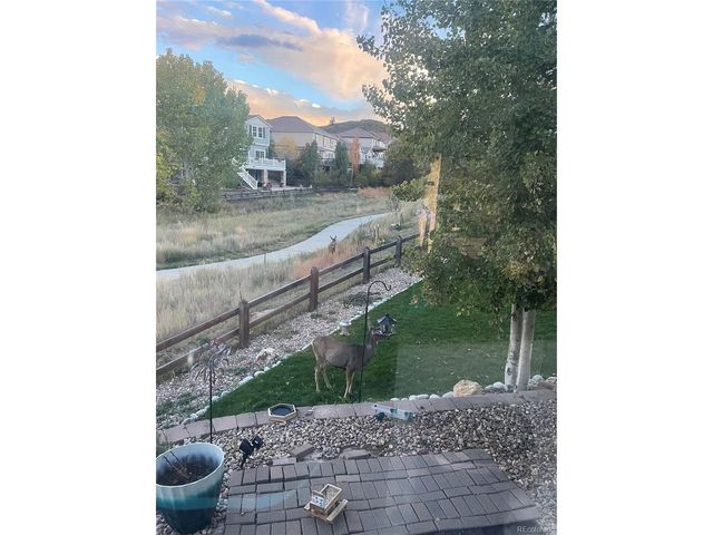 3303 Starry Night Loop, Castle Rock, CO 80109