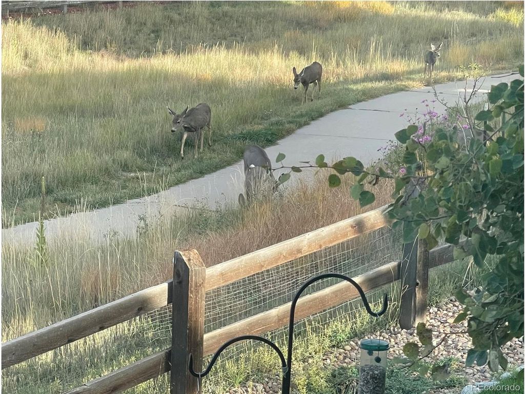 3303 Starry Night Loop, Castle Rock, CO 80109