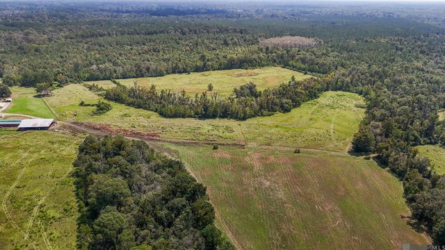 21123 La Hwy 1032, Denham Springs, LA 70726