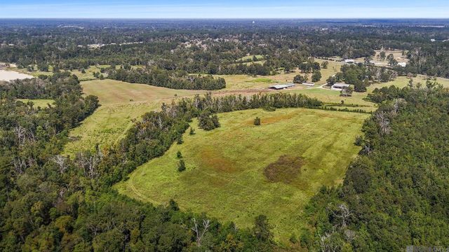 21123 La Hwy 1032, Denham Springs, LA 70726