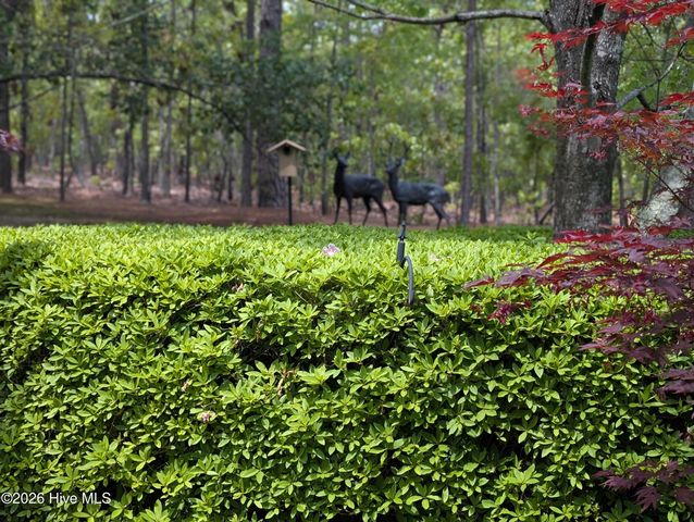 845 Lake Dornoch Drive, Pinehurst, NC 28374