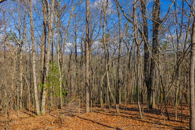 55 Spruce Drive, Ellijay, GA 30540